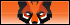 swift_foxes