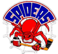 spiders